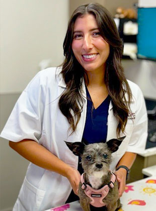 norman veterinarian