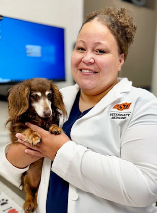 norman veterinarian