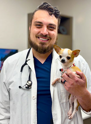 norman veterinarian